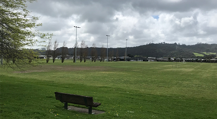 Huapai Recreation Reserve - Seating overlooking the sports field.