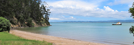 Kauri Point Domain