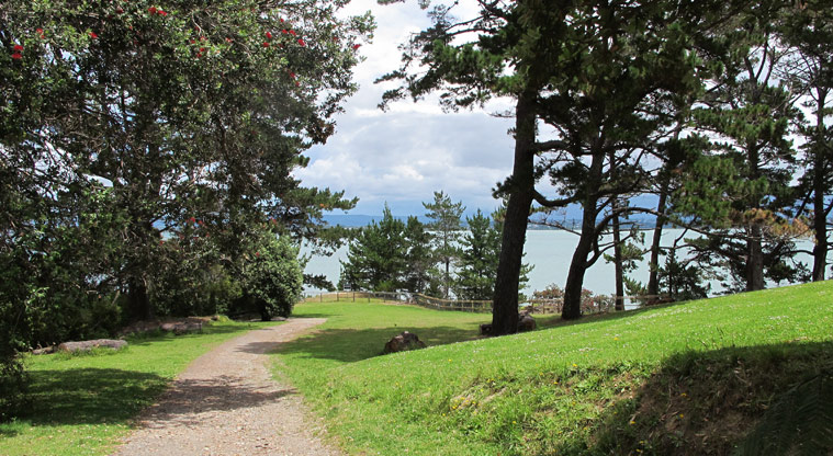 Kauri Point Domain - Section of gravel path through large trees, with the bay in the background.