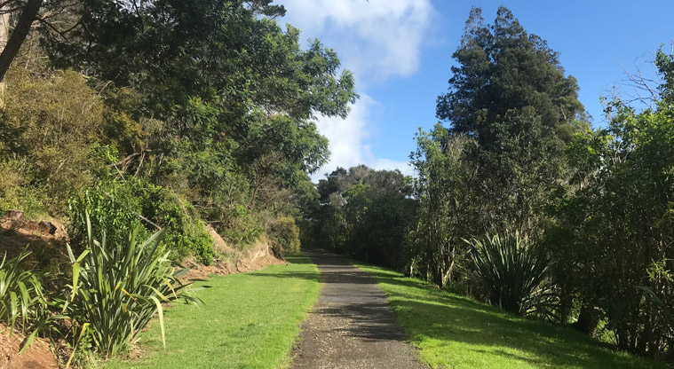 Kauri Point Domain - Section of gravel path with established trees and bush on both sides.