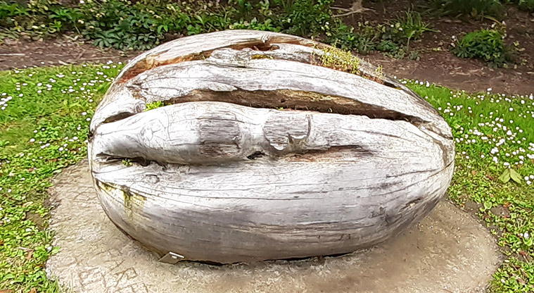 Kell Park - Seed shaped tree stump.