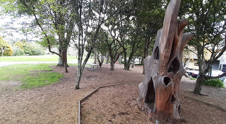 Kell Park - Large hollowed out tree stump.