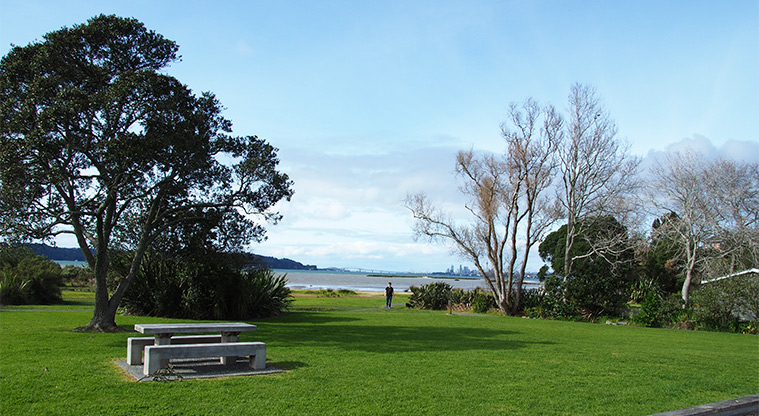 Kelvin Strand - Open green space with a picnic table, trees and view of Auckland city in the background. Photo credit: Tracey Hodder.