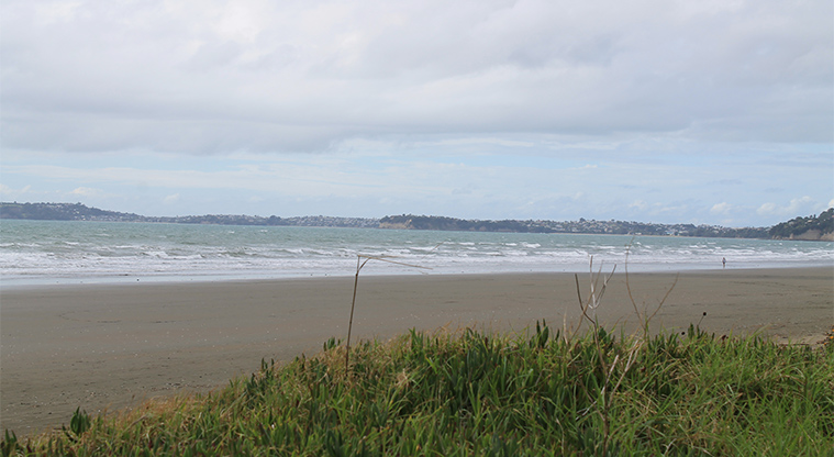 Kinlock Reserve - Beach at the end of the reserve. Photo credit: M Loubser.