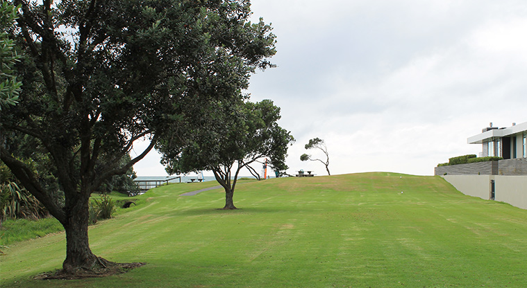 Kinlock Reserve - Open grassed area with trees. Photo credit: M Loubser.