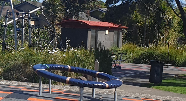 Kuaka Park - Spinning ring with the toilets and trees in the background. Photo credit: J Grigg.