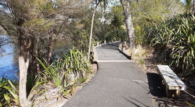 Lake Panorama - Flat walking path through the trees with water on left side and seating area on right side.