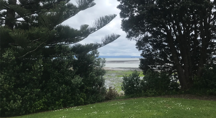 Laurie Gibbons Memorial Park - View through the trees and looking over the Papakura Channel.