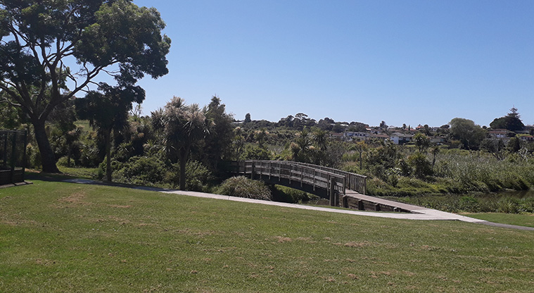 Kohuora / Lendenfield Reserve - Open grassed space with a path and bridge to the boardwalk in the background.