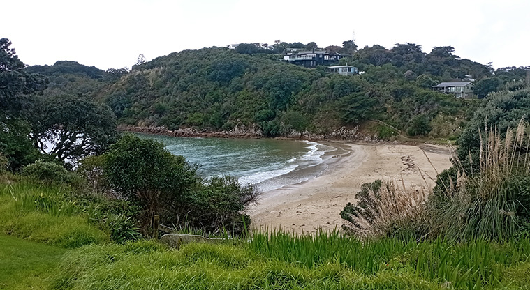 Little Oneroa Reserve - Looking over the whole beach from the top of the hill. Photo credit: K Sumner.