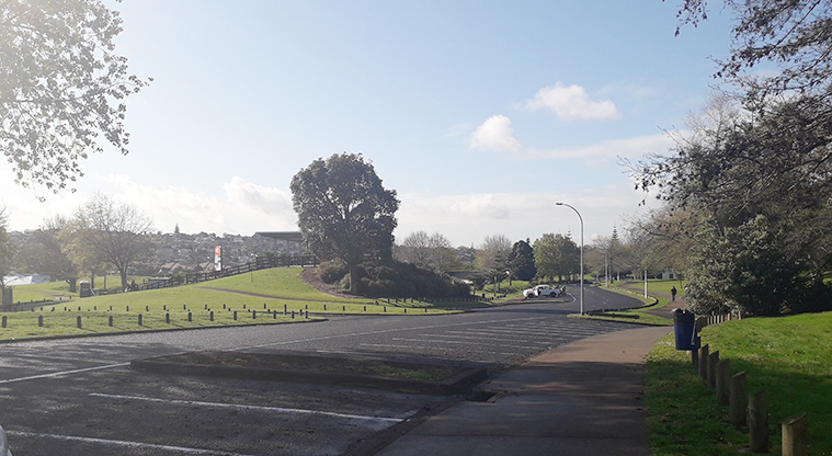 Lloyd Elsmore Park - Large parking area with open space and trees on both sides.