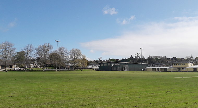 Lloyd Elsmore Park - Sports fields with buildings in the background.