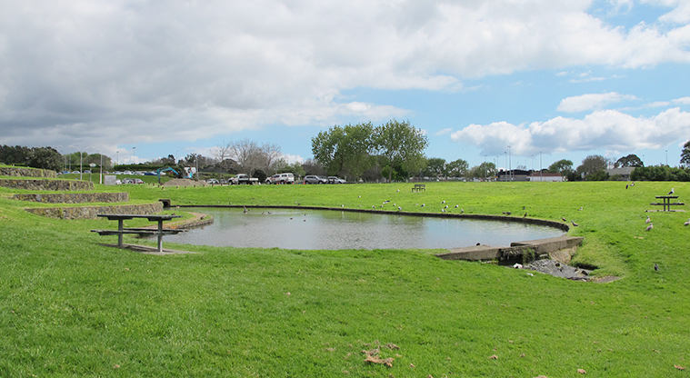 Lloyd Elsmore Park - Pond near the Aviemore Drive entrance.