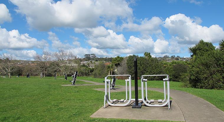 Logan Carr Reserve - Fitness equipment located along the path at the Kilkenny Drive end of the reserve.