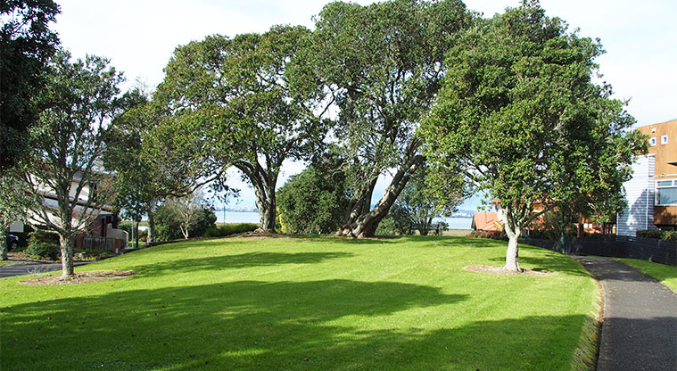 Lone Tree Park - Grassed area with a path and large trees. Photo credit: Tracey Hodder.