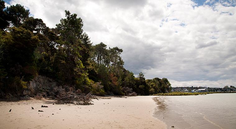 Luckens Reserve - View of the beach from the reserve.