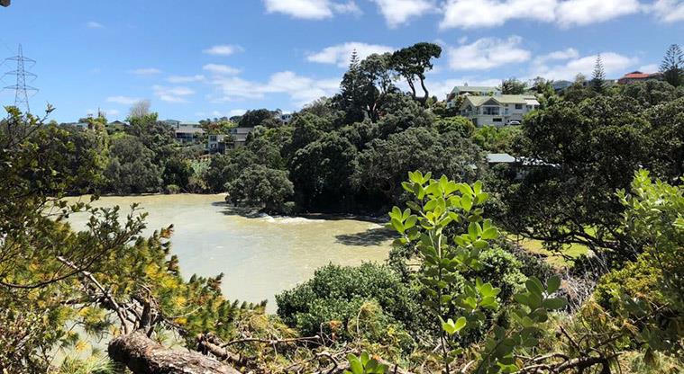 Lynfield Cove Reserve - View over Lynfield Cove Beach.