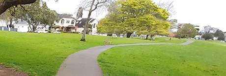 Madills Farm Recreation Reserve