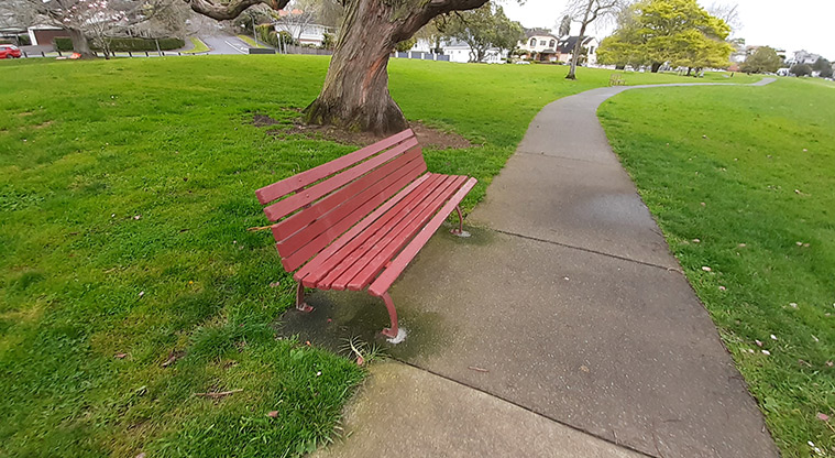 Madills Farm Recreation Reserve - Wooden seat on the edge of the path, with open space and trees on both sides.
