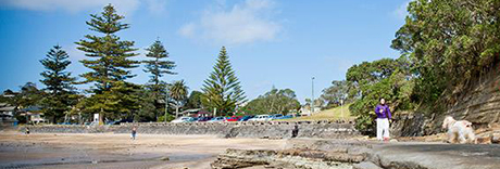Mairangi Bay Beach Reserve