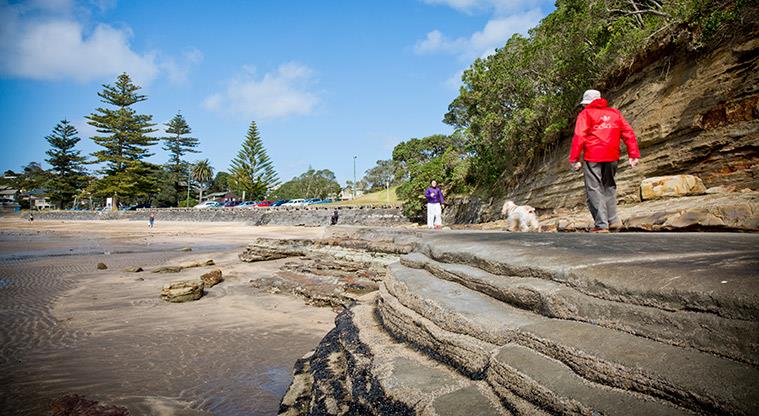 Mairangi Bay Beach Reserve - A section of raised path along the rocks with the beach in the background.