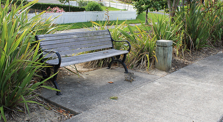 Major Henry Greens - Park bench on the edge of a path. Photo credit: M Loubser.