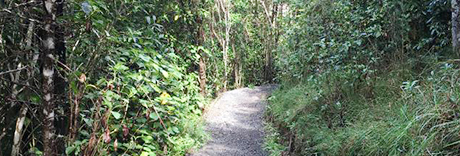 Mangemangeroa Reserve