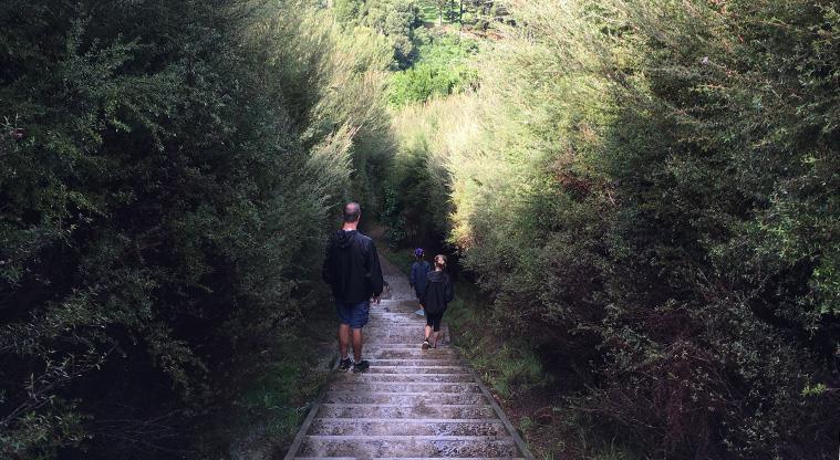 Mangemangeroa Reserve - One of the many sections of steps along the paths.