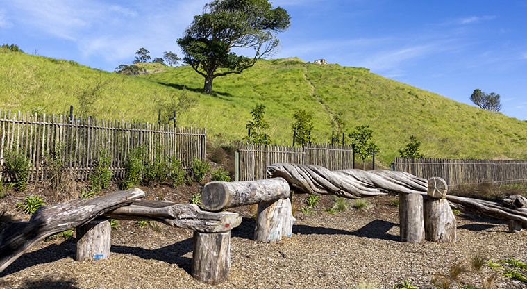 Te Pane o Mataoho / Te Ara Pueru / Māngere Mountain - Balance logs with the side of the maunga in the background.