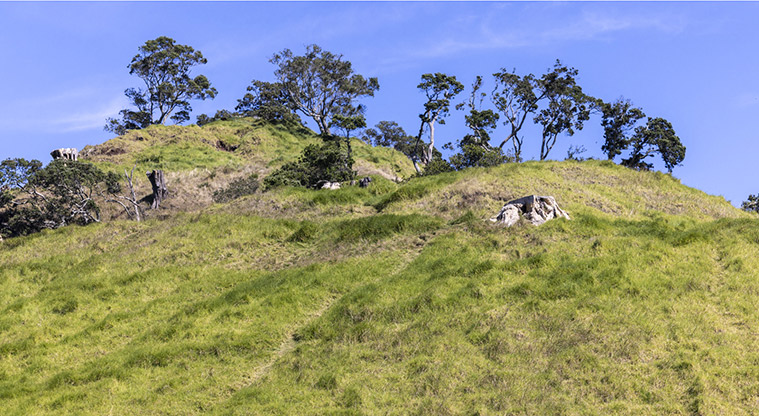 Te Pane o Mataoho / Te Ara Pueru / Māngere Mountain - Side of the maunga.