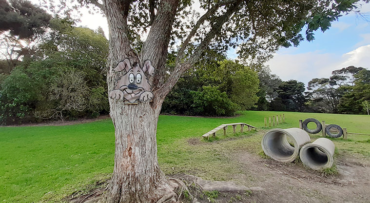 Manuka Reserve - Dog agility course by the field in the middle of the park. Photo credit: S Hulse.