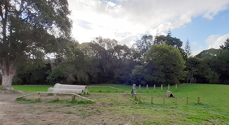 Manuka Reserve - Dog agility course by the field in the middle of the park. Photo credit: S Hulse.