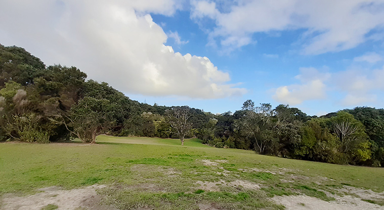 Manuka Reserve - Open grassed area in the middle of the park, surrounded by bush. Photo credit: S Hulse.