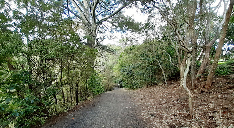 Manuka Reserve - Section of the track leading to the middle of the park and the dog agility course. Photo credit: S Hulse.