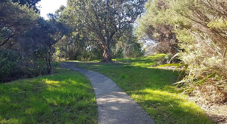 Manukau Domain - Section of path leading through the park.