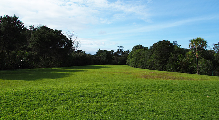 Mānutewhau / Manutewhau Reserve - Grassed open space bordered by trees. Photo credit: Tracey Hodder.
