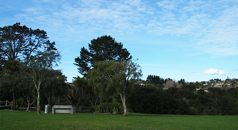 Mānutewhau / Manutewhau Walk - Open space, trees and one of the seats along the path. Photo credit: Tracey Hodder.