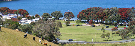 Martins Bay Holiday Park