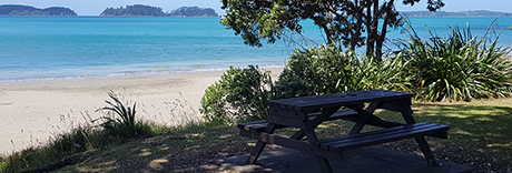 Martins Bay Recreation Reserve