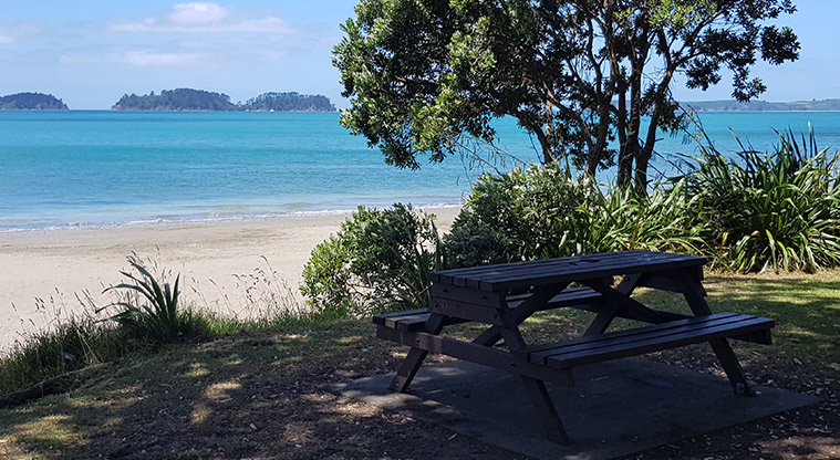 Martins Bay Reserve - View over Martins Bay.