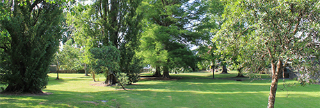 Mckenzie Avenue Park