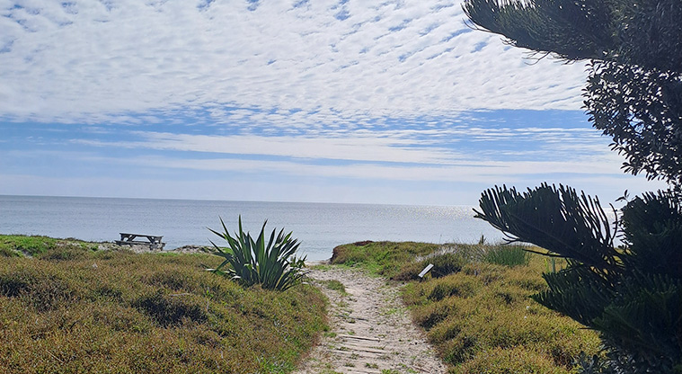 Medlands Beach - View of the beach and Oruawharo Bay from the dunes.