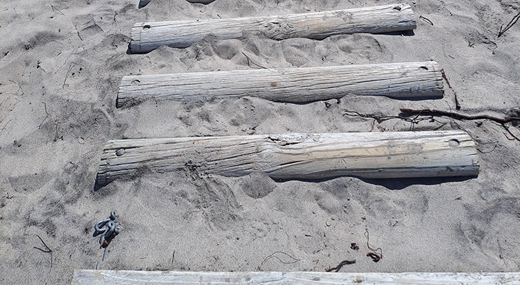 Medlands Beach - Logs in the sand providing access from the dunes down to the beach.