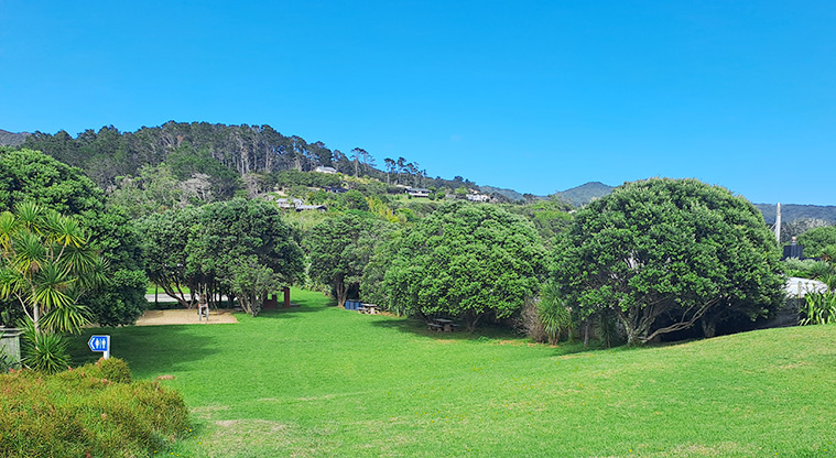 Medlands Playground Reserve - View of the open grassed space lined by established trees.