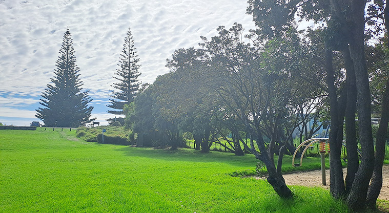 Medlands Playground Reserve - View of the reserve with open grassed space and trees.