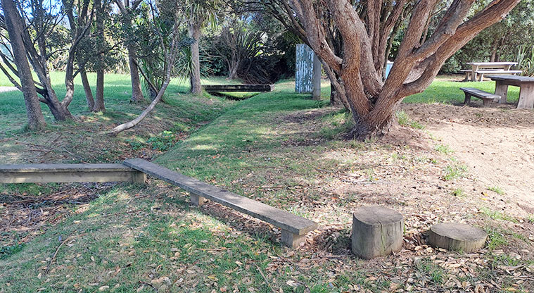 Medlands Playground Reserve - A series of stepping logs and balancing beams.