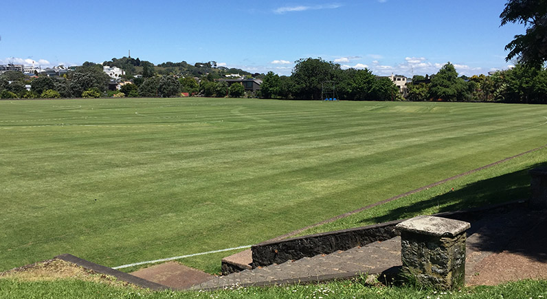 Melville Park – The cricket grounds.