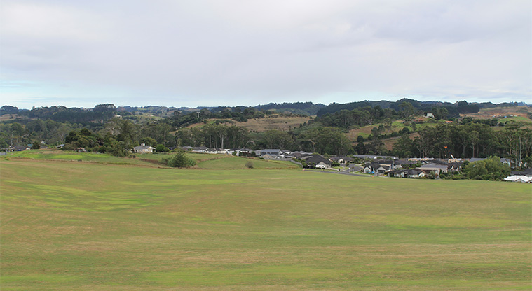 Kawerau / Metro Park West - Large open green space with residential housing in the background. Photo credit: M Loubser.