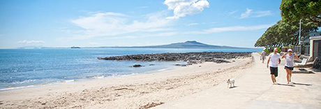 Milford Beach Front Reserve