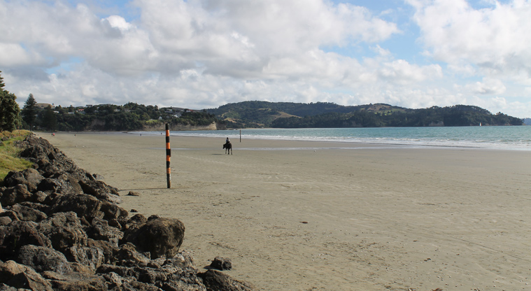 Moana Reserve - Ōrewa Beach. Photo credit: M Loubser.